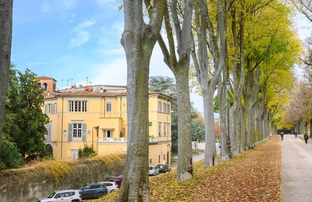 Palazzo Froussard B&B&Living-1